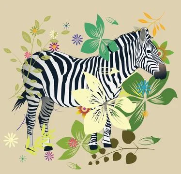 Zebra in the foresta Stock Photos