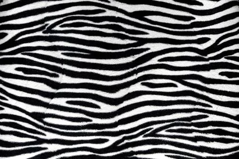 Zebra fur background texture Stock Photos
