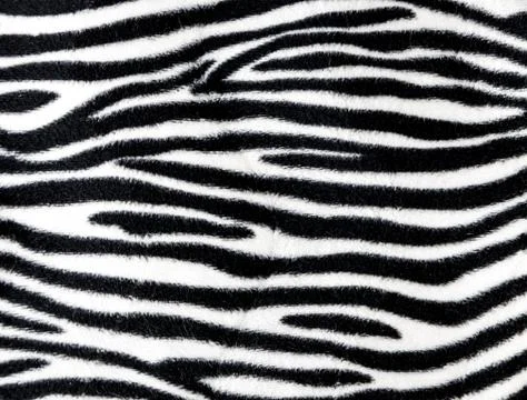 Zebra fur background texture 스톡 사진