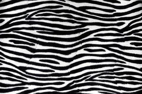  Zebra fur background texture Zebra fur background texture close up view C... Foto stock