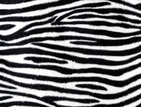  Zebra fur background texture Zebra fur background texture close up view C... Foto stock