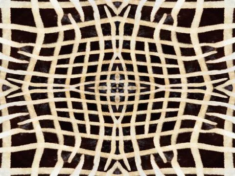 Zebra fur pattern Black and orange kaleidoscope zebra fur pattern Copyrigh... Stock Photos