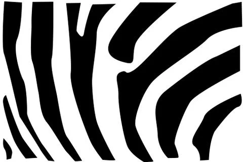 Zebra fur pattern 库存插图