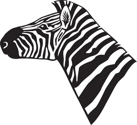 Zebra head animal Stock Illustration