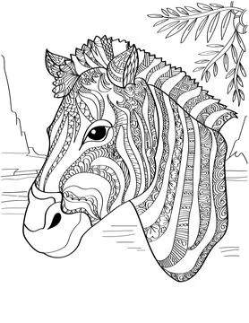 Zebra Head Facing Sideward With Leaves Above Colorless Line Drawing. Horse With Stock Illustration