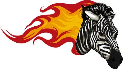 Zebra head with flames Vector illustration design Illustrazione stock