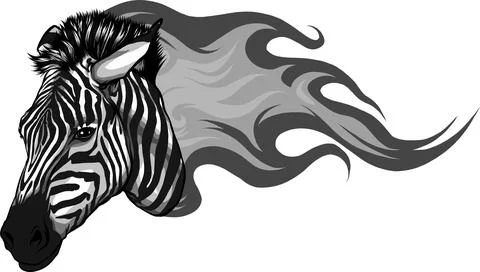 Zebra head with flames Vector illustration design Stock Illustration