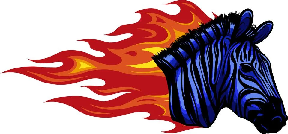 Zebra head with flames Vector illustration design Stock Illustration