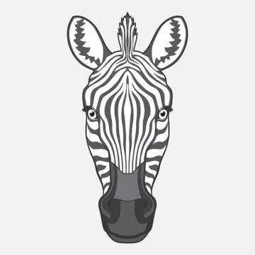 Zebra head Stock Illustration