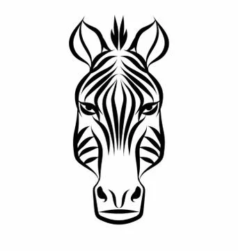 Zebra Head Vector Illustrazione stock