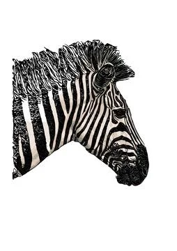 Zebra head vector illustration Stock Illustration