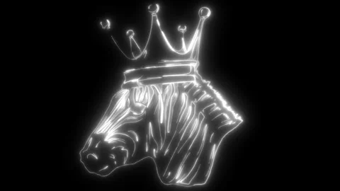 Zebra head in white line on black background Stock Footage 276224998