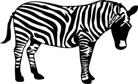 Zebra icon on white background Stock Illustration