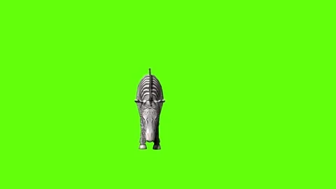 Zebra idle eat green screen animation 3D rendering Stock Footage 297202262