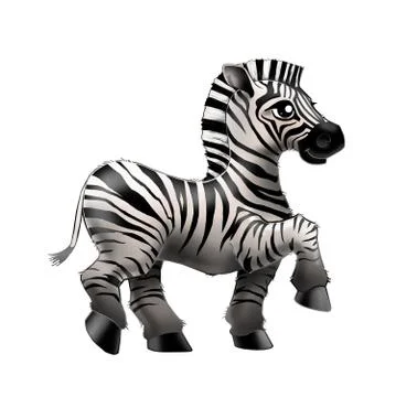Zebra 库存插图