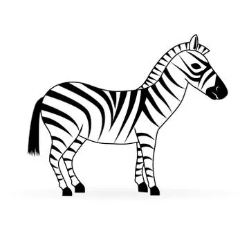 Zebra Stock Illustration