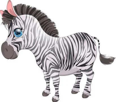 The zebra Stock Illustration