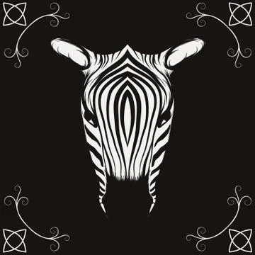 Zebra Stock Illustration