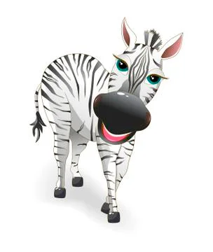 Zebra Stock Illustration