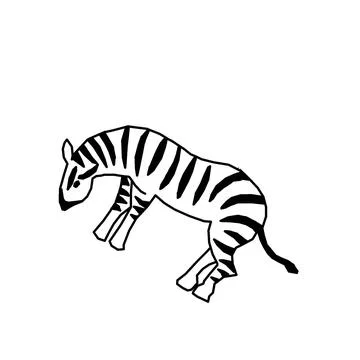Zebra Stock Illustration