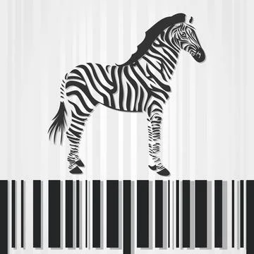 Zebra Stock Illustration