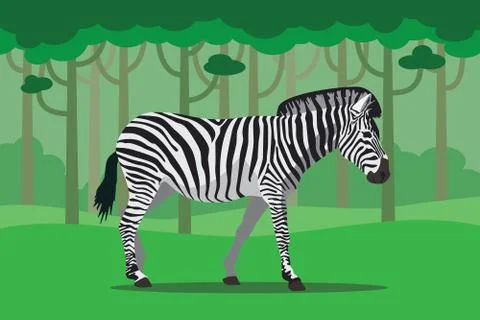 Zebra isolated in jungle with trees as background vector Illustrazione stock