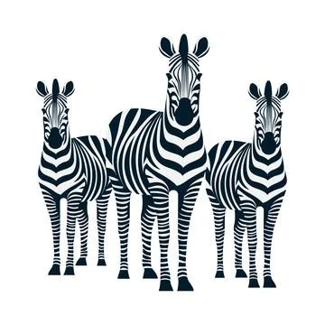 Zebra isolated on white background Stock Illustration