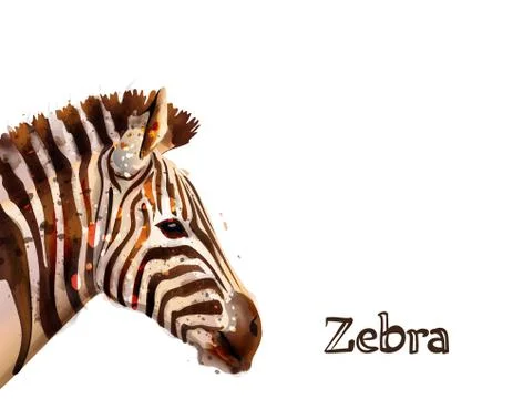 Zebra isolated on white background Vector watercolor. wildlife safari animals Stock Illustration