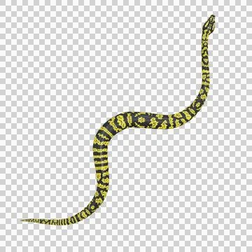 Zebra Jungle Carpet Python Pose Stock Illustration