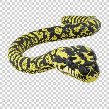 Zebra Jungle Carpet Python Pose Stock Illustration