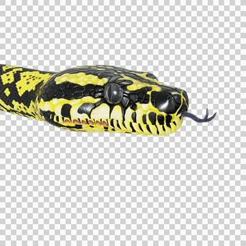 Zebra Jungle Carpet Python Pose Stock Illustration