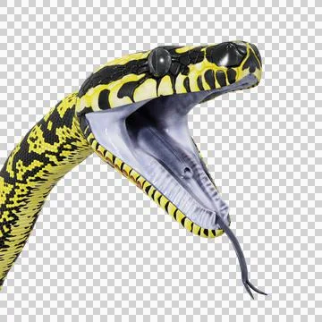 Zebra Jungle Carpet Python Pose Stock Illustration