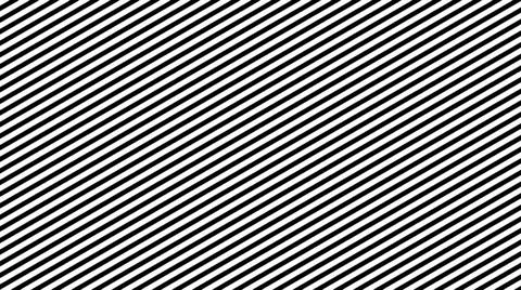 Zebra Line Background. Digital 3d illustration Zebra Line Background. Digi... Foto stock