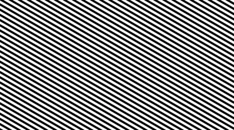 Zebra Line Background. Digital 3d illustration Zebra Line Background. Digi... Foto stock