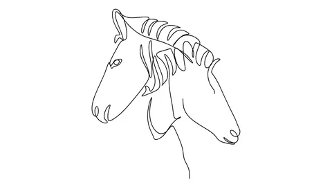Zebra line drawing animation video Stock Footage 128424277