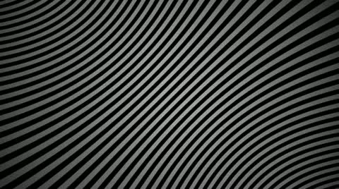 Zebra line Stock Footage 11999060