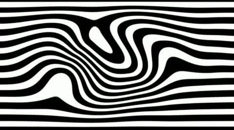 Zebra line Stock Footage 12183344