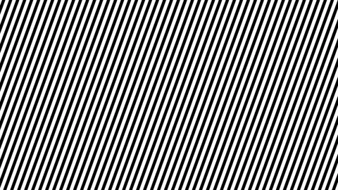 Zebra Line Movement Animation Background. Seamless Loop Stock Footage 79231529