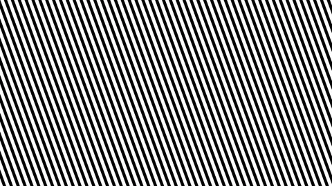 Zebra Line Movement Animation Background. Seamless Loop Stock Footage 79232866