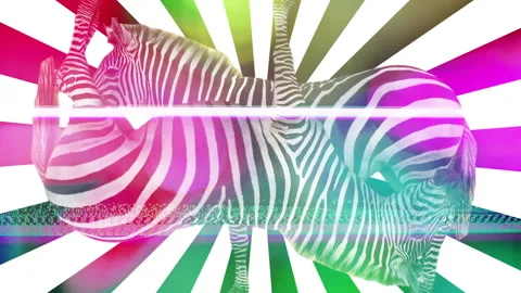 Zebra made into abstract hypnotic pattern Stock Footage 259850379