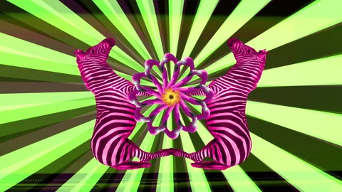 Zebra made into abstract hypnotic pattern Stock Footage 259850817