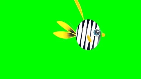 Zebra Motion on Green Screen Chroma Key Background Video stock 336959092