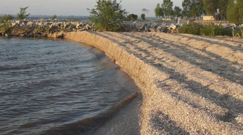 Zebra Mussel Beach Landscape Stock Footage 50827472