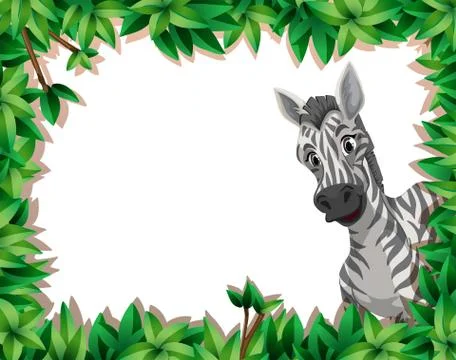 Zebra in nature frame イラスト素材