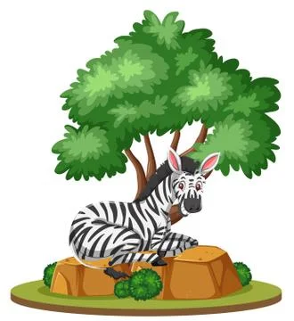 A zebra in nature isolated Stock Illustration