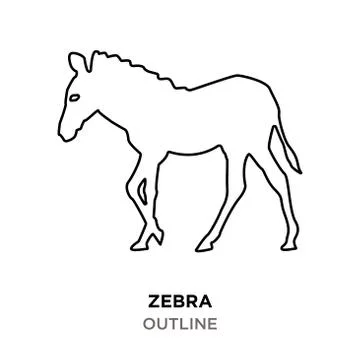 Zebra outline on white background Stock Illustration