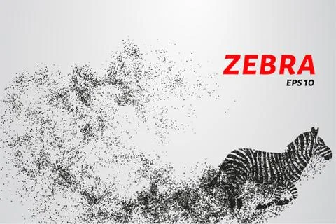 Zebra, particle divergent composition, vector illustration. Silhouette of a z Illustrazione stock