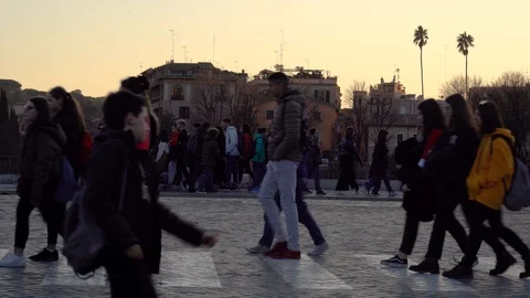 Zebra passing Stock Footage 125780350