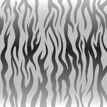 Zebra Pattern. Animal Skin Stock Illustration