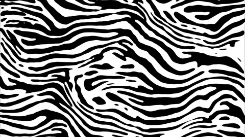 Zebra pattern animation Stock Footage 105403161